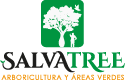 Salvatree